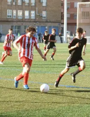 Campo de futbol Malva-rosa