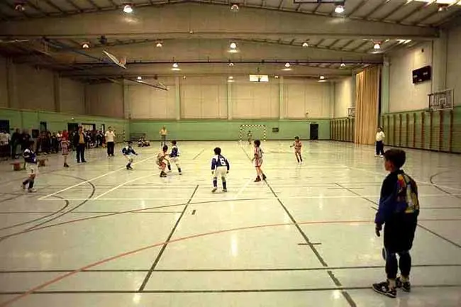 Centro Deportivo Municipal La Almozara — instalación deportiva