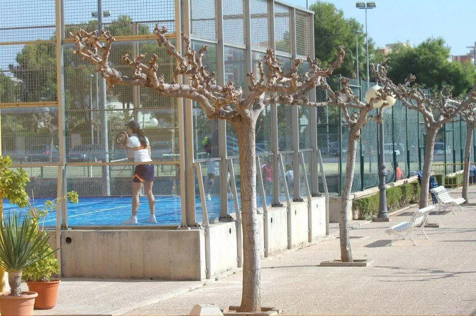 Polideportivo Mas dels Frares — instalación deportiva