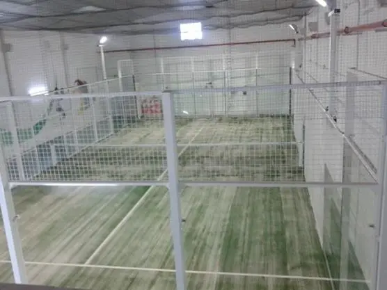 Mister Padel — instalación deportiva