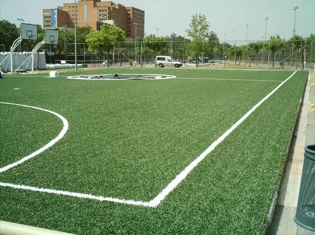 Geieg - Grup Excursionista i Esportiu Gironí — instalación deportiva