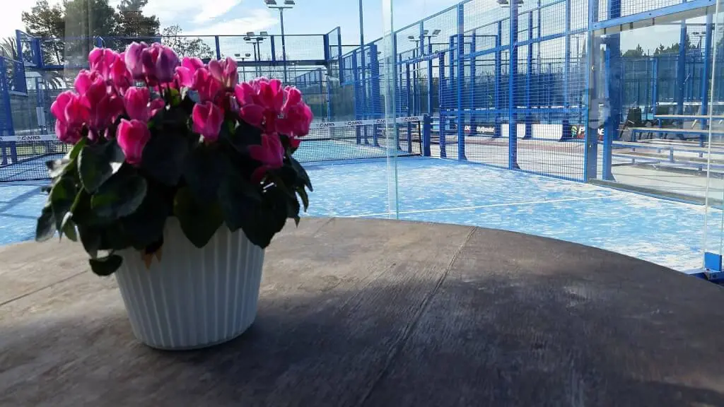 La Terraza del Padel — instalación deportiva