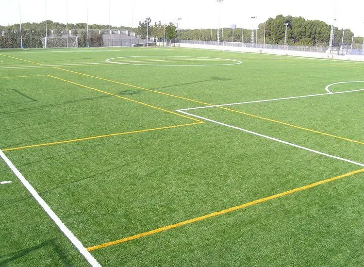 Stadium Venecia — instalación deportiva