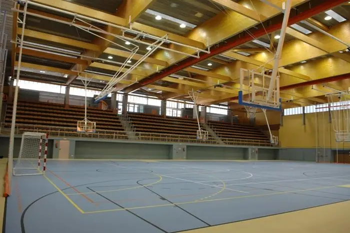 Polideportivo Municipal Dehesa Boyal — instalación deportiva
