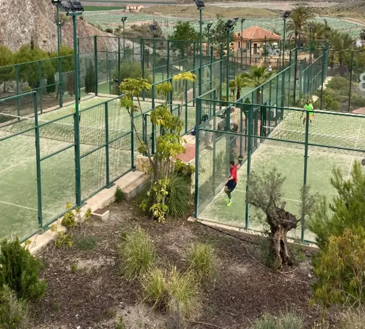 Pádel Aguilas Club - Isla del Fraile — instalación deportiva