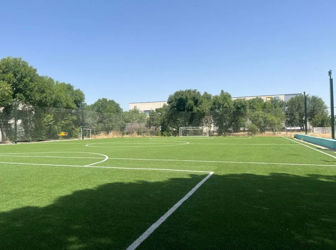 Fútbol 7 Punta Chica — instalación deportiva