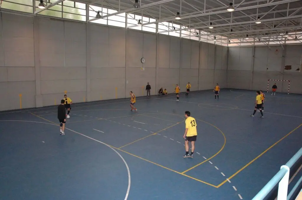 Centro Deportivo Municipal El Olivillo — instalación deportiva