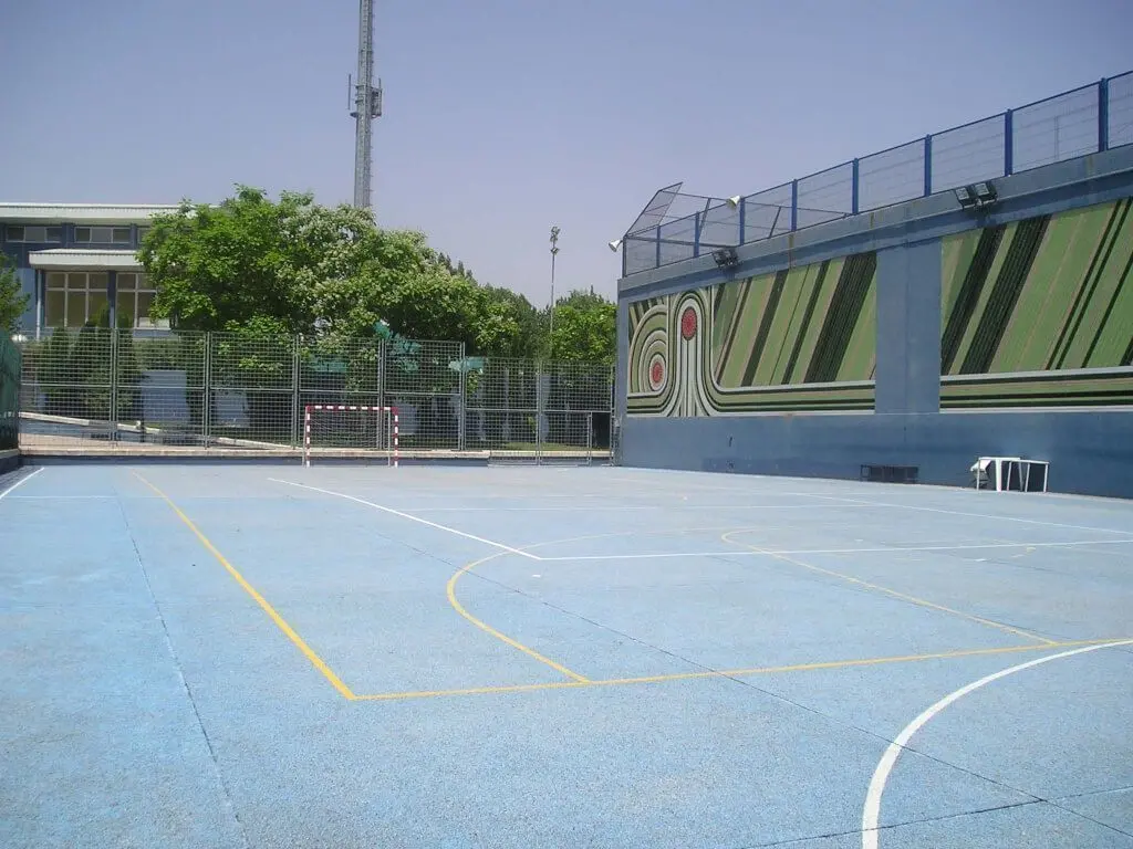 Centro Deportivo Municipal La Mina — instalación deportiva