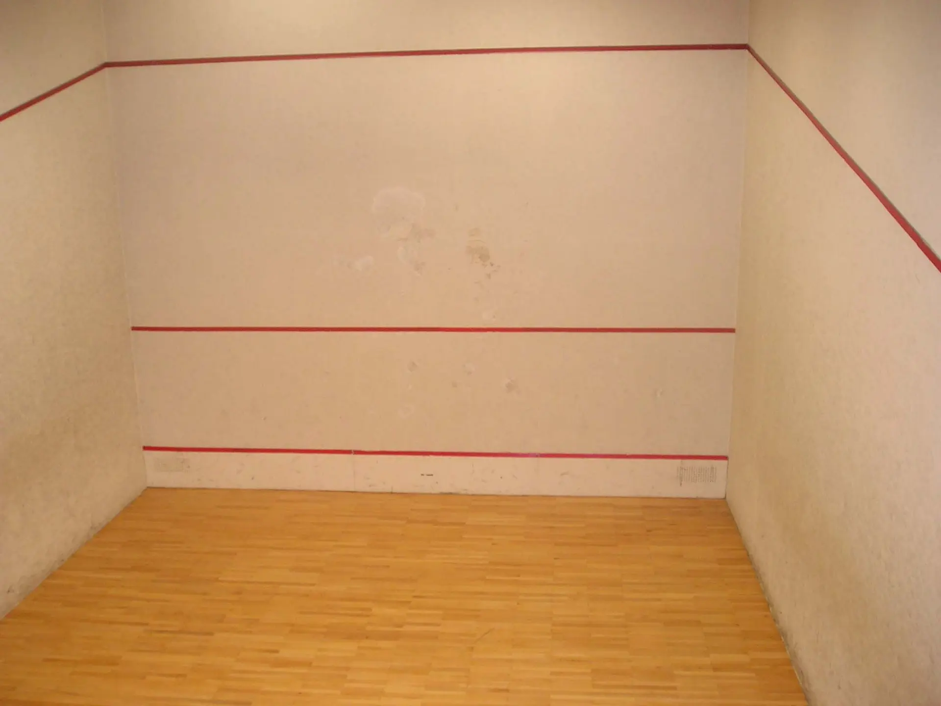 Centro Deportivo Municipal La Mina — instalación deportiva