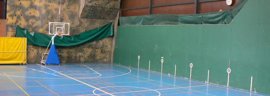 Centre Esportiu Municipal Can Caralleu — instalación deportiva