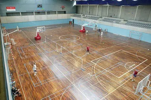 Centre Esportiu Municipal l'Espanya Industrial — instalación deportiva