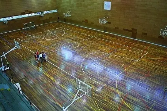 Centre Esportiu Municipal Nova Icària — instalación deportiva
