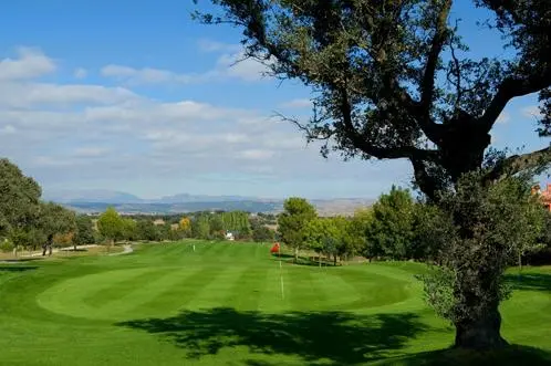 RACE Complejo Deportivo — instalación deportiva