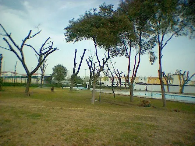 Polideportivo Municipal de Gelves — instalación deportiva