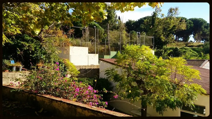 CarPol Alella Instalaciones — instalación deportiva