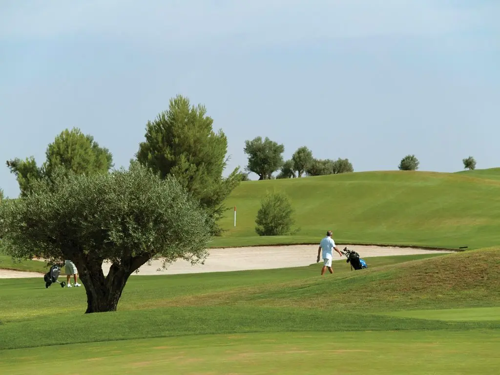 Club de Golf Las Pinaillas — instalación deportiva